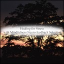 Mindfulness Neuro Feedback Selection - Mendel Life Original Mix