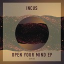 INCUS UK - Open Your Mind Original Mix