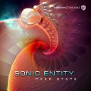 Sonic Entity - Deep State Original Mix