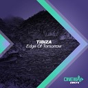 Tibiza - Unknown Error Original Mix