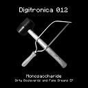 Monosaccharide - I Can Only See Original Mix