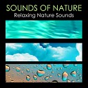 Sounds of Nature White Noise for Mindfulness Meditation and… - Ocean Waves Music of Water for Deep…