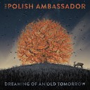 The Polish Ambassador - Joyride ft Katie Gray