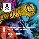 Johnny Astro Shepelev SevenEver - Feel Inside Namatria Remix
