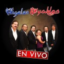 Angeles Y Diablos - Si Te Doy Mi Coraz n En Vivo