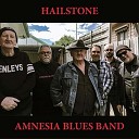 Amnesia Blues Band - Nullabor Blues