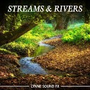 Lynne Sound Fx - Smooth Flowing River in Forest