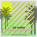 Joe Morris - Fireflies Original Mix