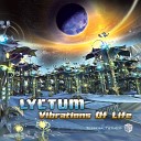 Lyctum - Atmospheric Probe Original Mix