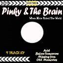 Pinky The Brain - Missing You Original Mix