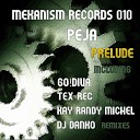 Peja - Prelude Go Diva Remix
