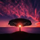 Reiki Spa Music Relaxation Meditation Songs… - The Greatest Sunrise