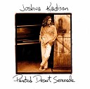 Joshua Kadison - Picture Postcards From L A