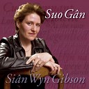 Sian Wyn Gibson - Hyn Na R Coed