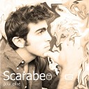 Scarabeo - Aller