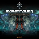 Marshmalien - Endless Limitless Original Mix