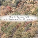 Mindfulness Slow Life Laboratory - Salvia Delicateness Original Mix