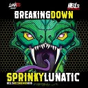 Sprinky Lunatic - Breaking Down Original Mix