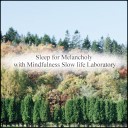 Mindfulness Slow Life Laboratory - Andromeda Anxiety Original Mix