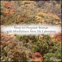 Mindfulness Slow Life Laboratory - Marble Anxiety Original Mix