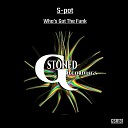 S Pot - Who s Got The Funk Original Mix