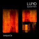 Lund Quartet Figures - Sequoia Figures Remix