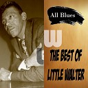 Little Walter - Fast boogie alternate