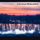 Igor Kluson - Piano Sonata No 6 in D Major K 284 II Rondeau en polonaise Guitar…