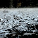 Hard Sounds of Mother Earth Sons da natureza HD Ambient Music… - Rain Drop Splash