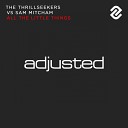 The Thrillseekers Sam Mitcham - All The Little Things Original Mix