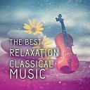 Relaxing Sounds Guru - Sonata in B Minor BWV 1030 II Largo e dolce Pt 1 Harpcord…