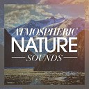 Nature Sounds for Sleep and Relaxation - Dance of angels