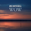 Zed Mitchell - You Are Not Alone