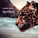 Sandro Marini - Hypnotized Original Mix