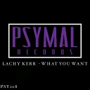 Lachy Kerr - What You Want Original Mix