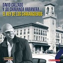 David Calzado y su Charanga Habanera - El Rey