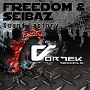 Freedom Seibaz - Sound Factory Original Mix