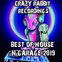 Crazy Rabbit All Stars - Dead Disco