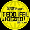 Peter P Hill feat Alex Bassline Baxxter - Tedd Fel A Kezed Subject G Remix