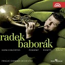 Prague Chamber Orchestra Radek Babor k - Concerto for French Horn and Orchestra No 1 in E Flat Major I Allegro…