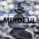 Mindfulness Meditation Music Spa Maestro - Stress and Anxiety Relief