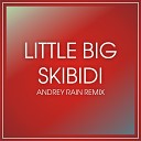 Little Big - Skibidi Andrey Rain Remix