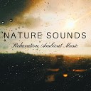 Nature Sounds Balance - Deep Impact