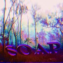 Soap - Foxfire Forest