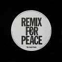 The Lunch Funks - Remix For Peace
