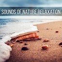Hypnosis Nature Sounds Universe - Time for Sleep