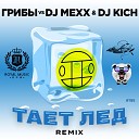 Грибы vs DJ Mexx DJ Kich - Между нами тает лед