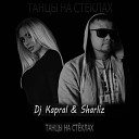 Dj Kapral Sharliz - Танцы На Стеклах Ser Twister Remix Music…
