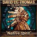 David LC Thomas - A Feather in the Wind