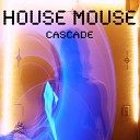 House Mouse - Night Mission